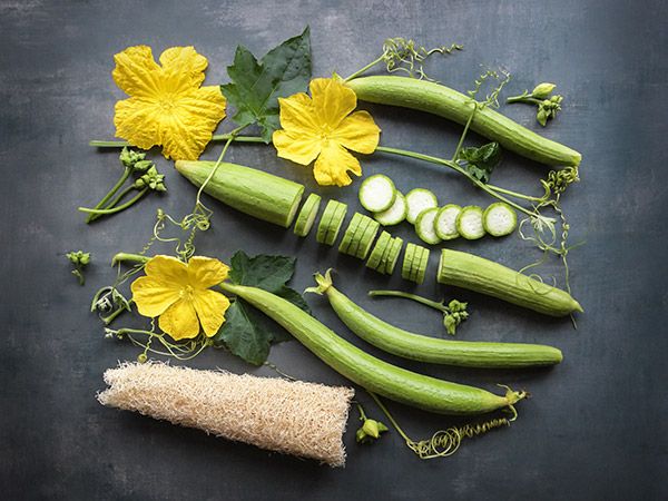 gourd-sponge-luffa